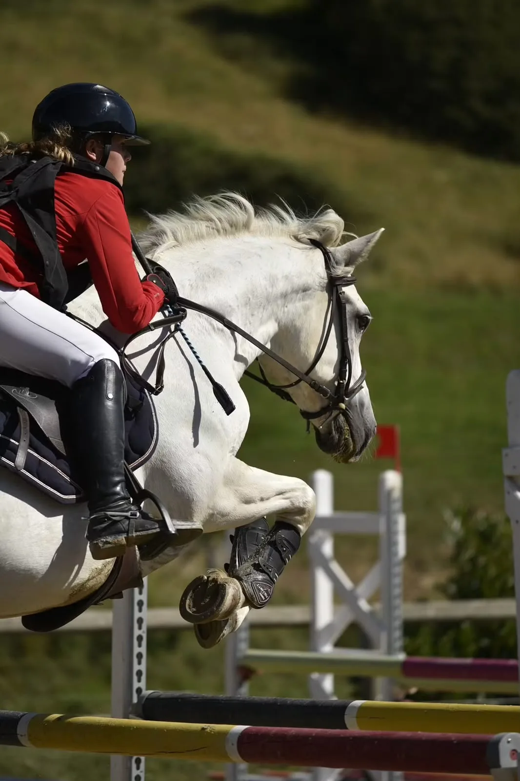 Pratique équestre au Haras du Rochastier
