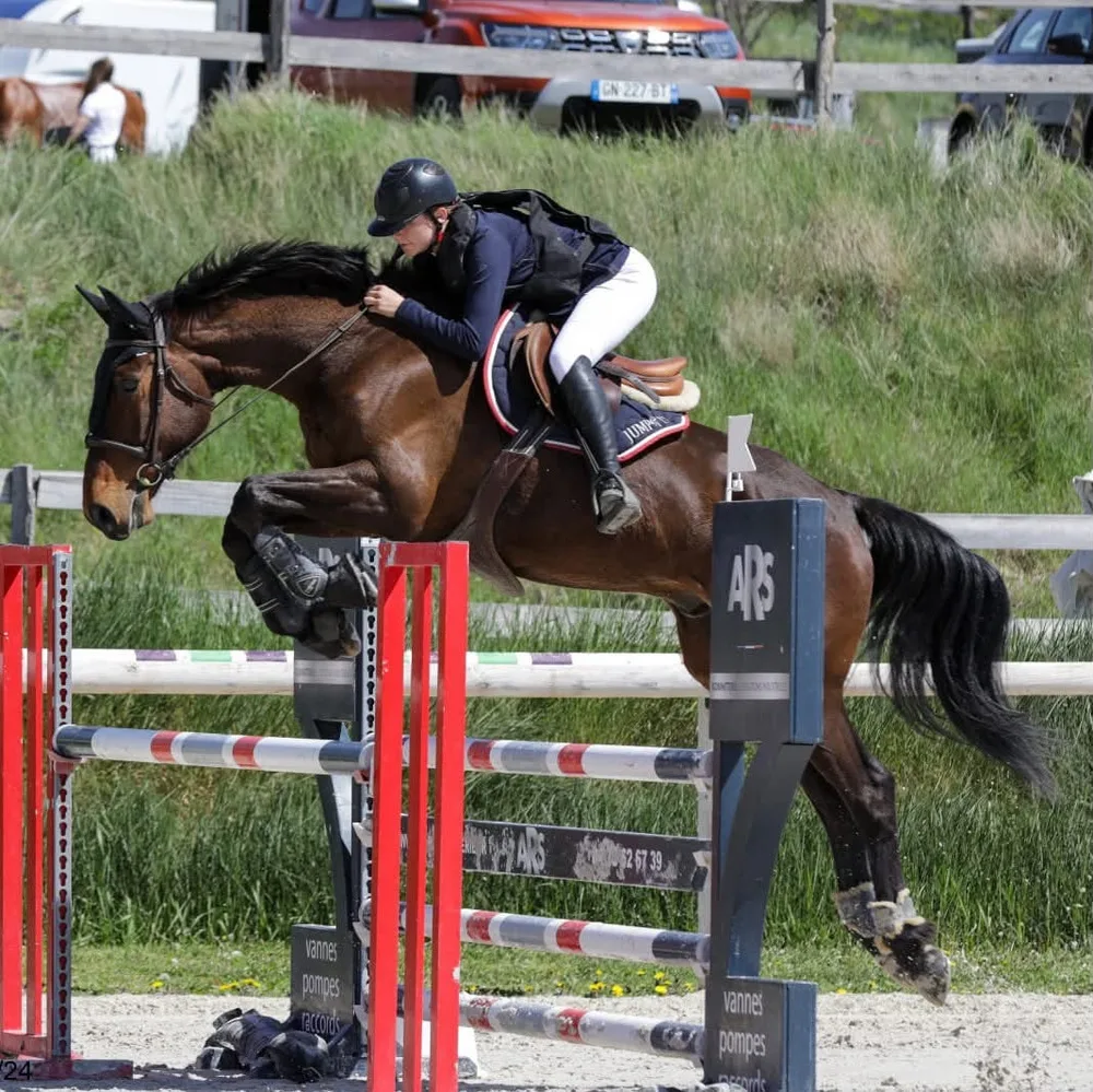 Cavalière et cheval à l'obstacle