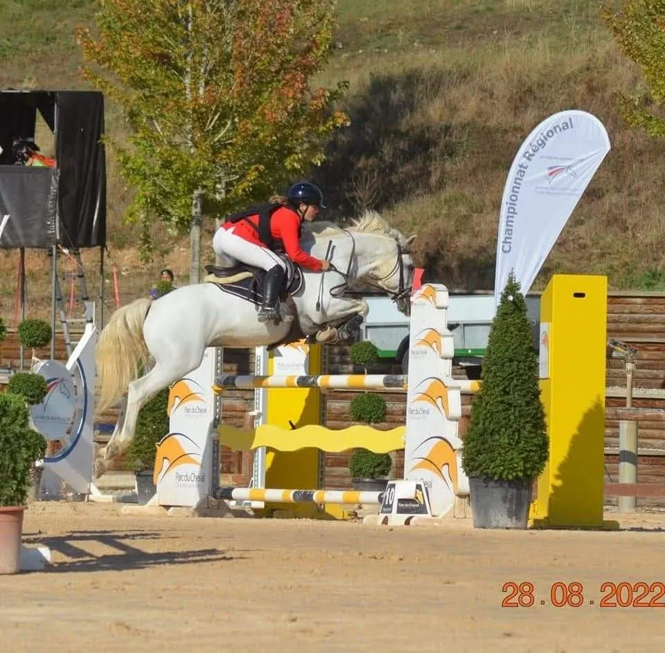 Belle performance de Prince Auvergnat en Jeunes Chevaux